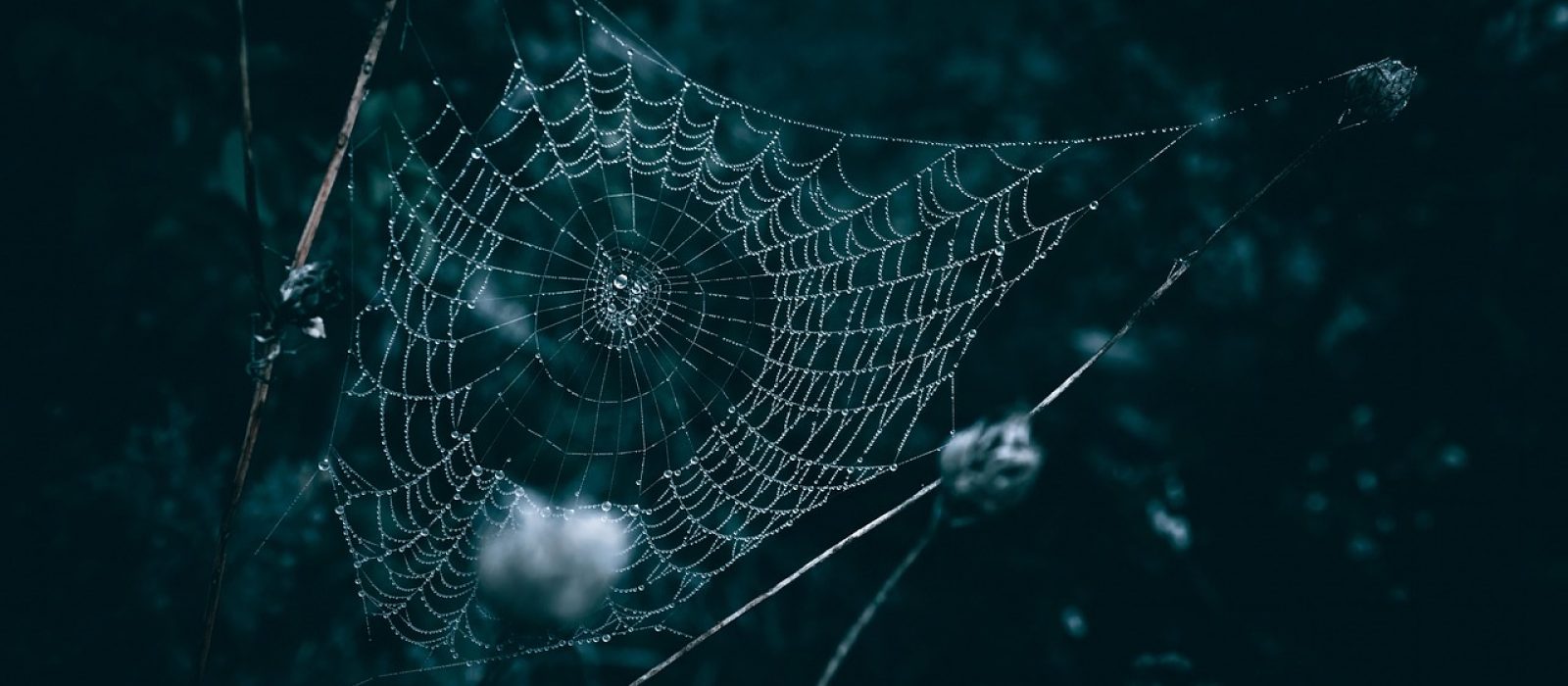 爱动漫网平台风格大图，深色背景上各类热门番剧封面拼接，绿色主题光晕，二次元氛围浓郁